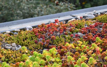 the cost of Coston green roof installation