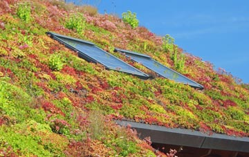 Coston living roof systems